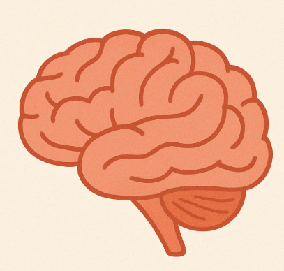 Low-Carb, Clear Mind? What a Keto Diet Could Mean for Brain Health